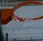 Teutonia Basketball News