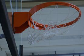 Teutonia Basketball News