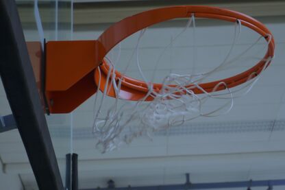 Teutonia Basketball News